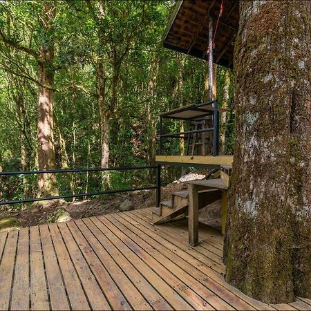 Unicorn Lodge: Direct Riverfront : Unique Experience San Gerardo de Dota Kültér fotó