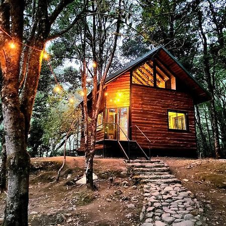 Unicorn Lodge: Direct Riverfront : Unique Experience San Gerardo de Dota Kültér fotó