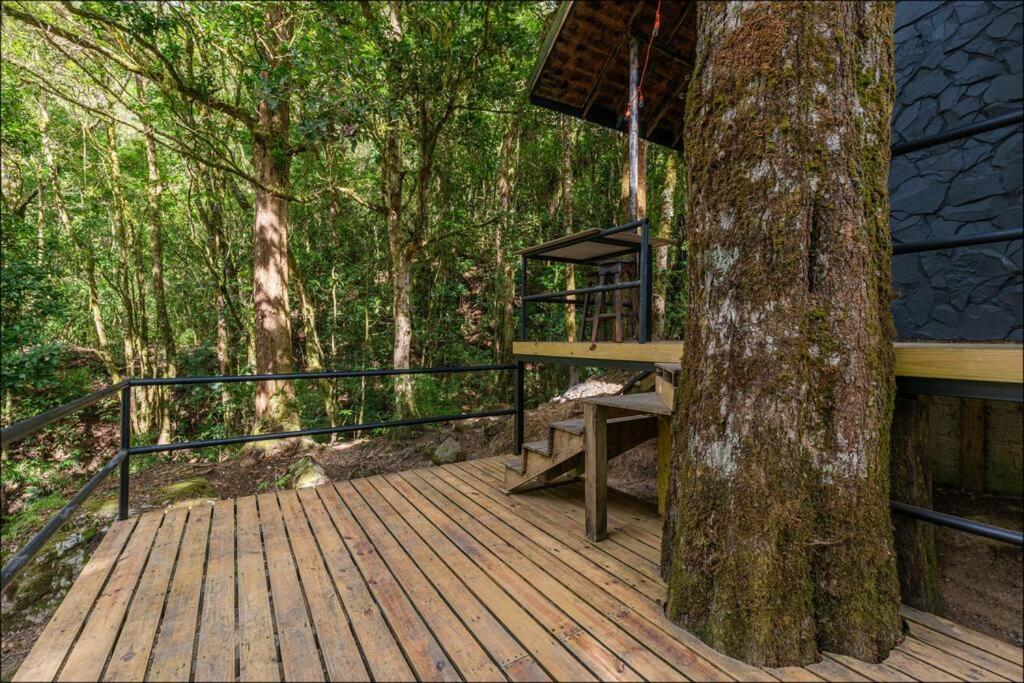 Unicorn Lodge: Direct Riverfront : Unique Experience San Gerardo de Dota Kültér fotó