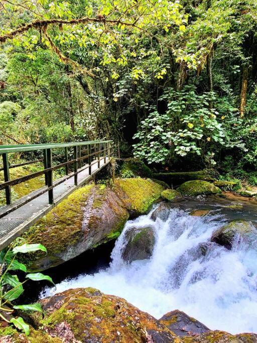 Unicorn Lodge: Direct Riverfront : Unique Experience San Gerardo de Dota Kültér fotó