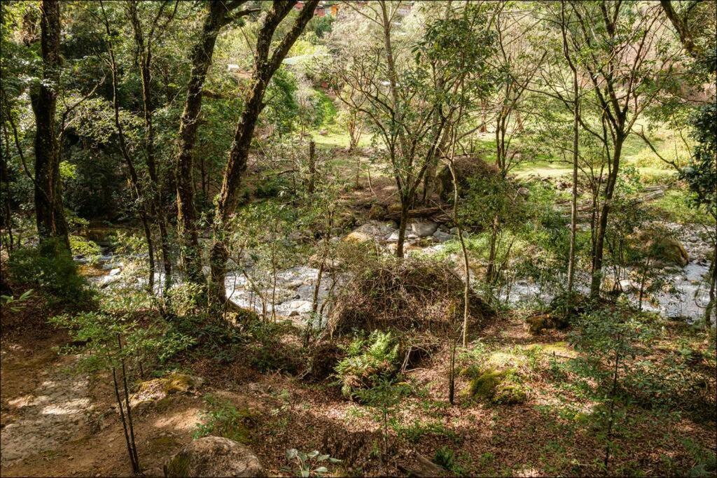 Unicorn Lodge: Direct Riverfront : Unique Experience San Gerardo de Dota Kültér fotó