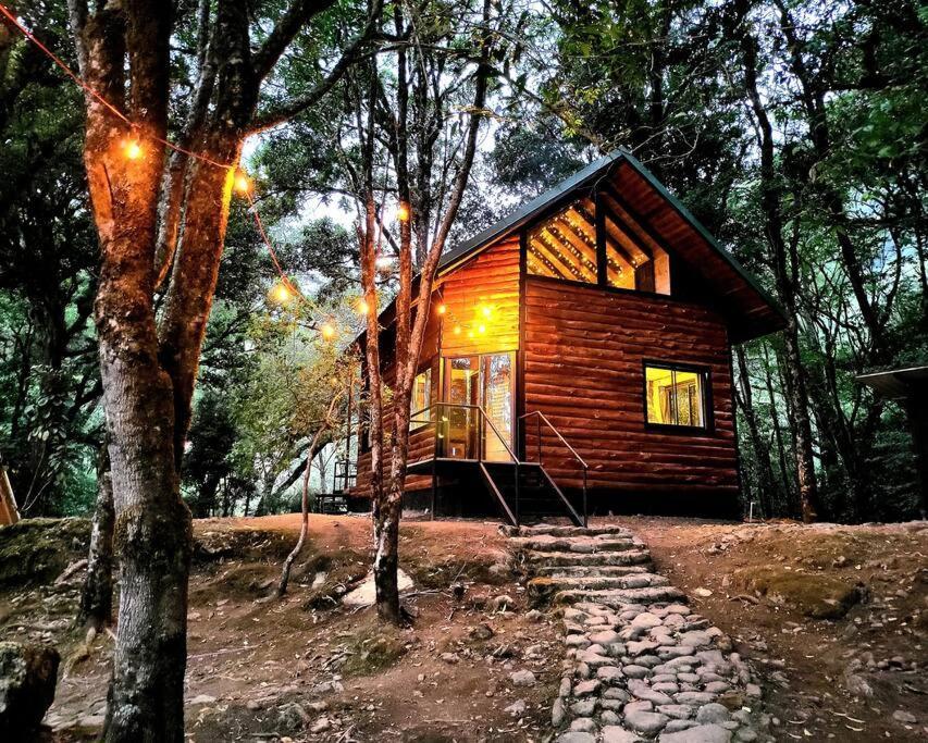 Unicorn Lodge: Direct Riverfront : Unique Experience San Gerardo de Dota Kültér fotó