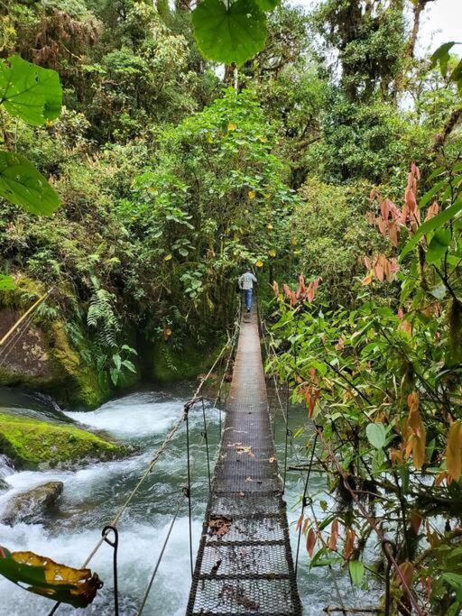 Unicorn Lodge: Direct Riverfront : Unique Experience San Gerardo de Dota Kültér fotó