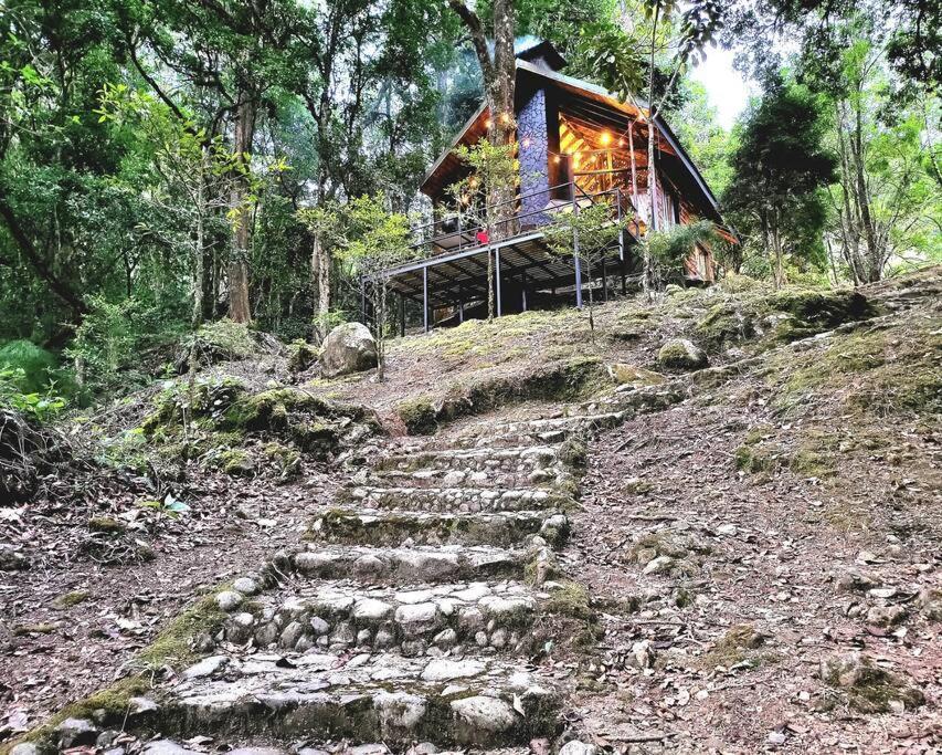Unicorn Lodge: Direct Riverfront : Unique Experience San Gerardo de Dota Kültér fotó