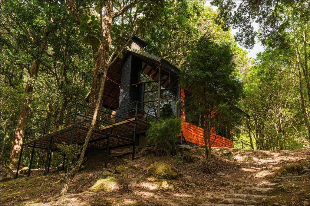 Unicorn Lodge: Direct Riverfront : Unique Experience San Gerardo de Dota Kültér fotó