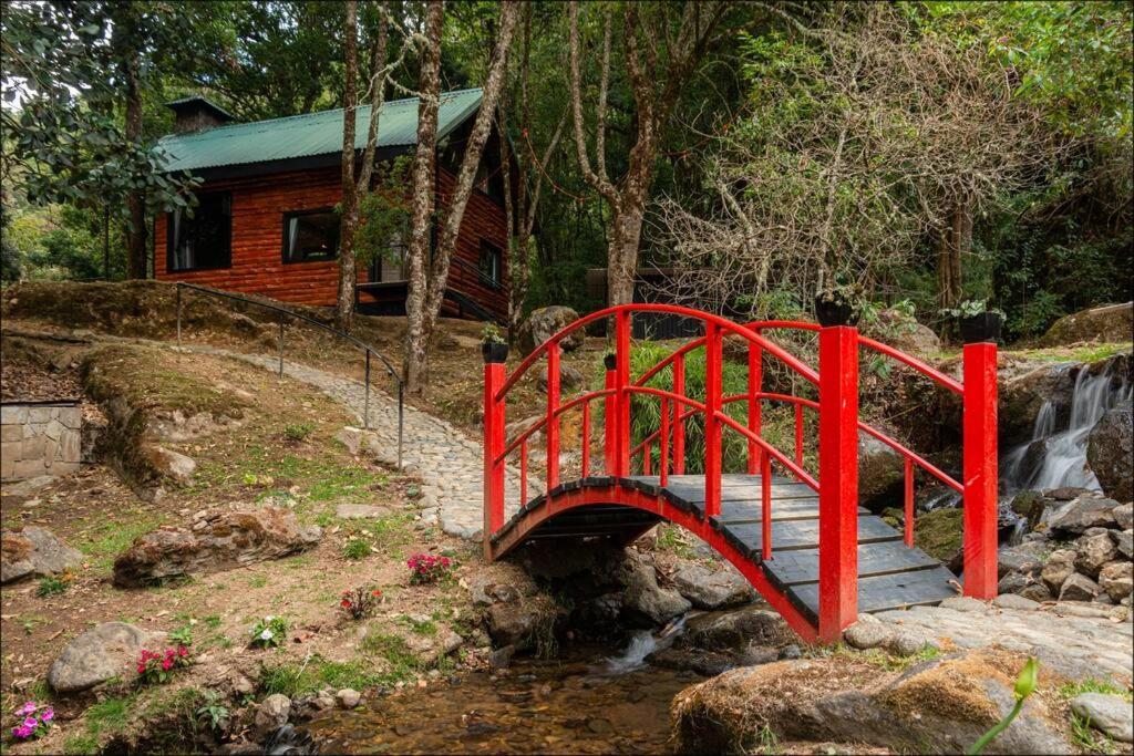 Unicorn Lodge: Direct Riverfront : Unique Experience San Gerardo de Dota Kültér fotó